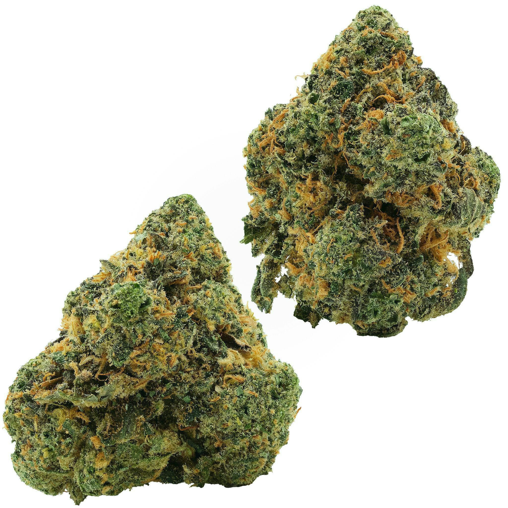 Glorious Cannabis Company | Permanent Marker | Flower | 3.5g by Glorious Cannabis Company