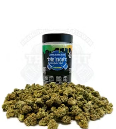 The Fight: Ghost Train Haze