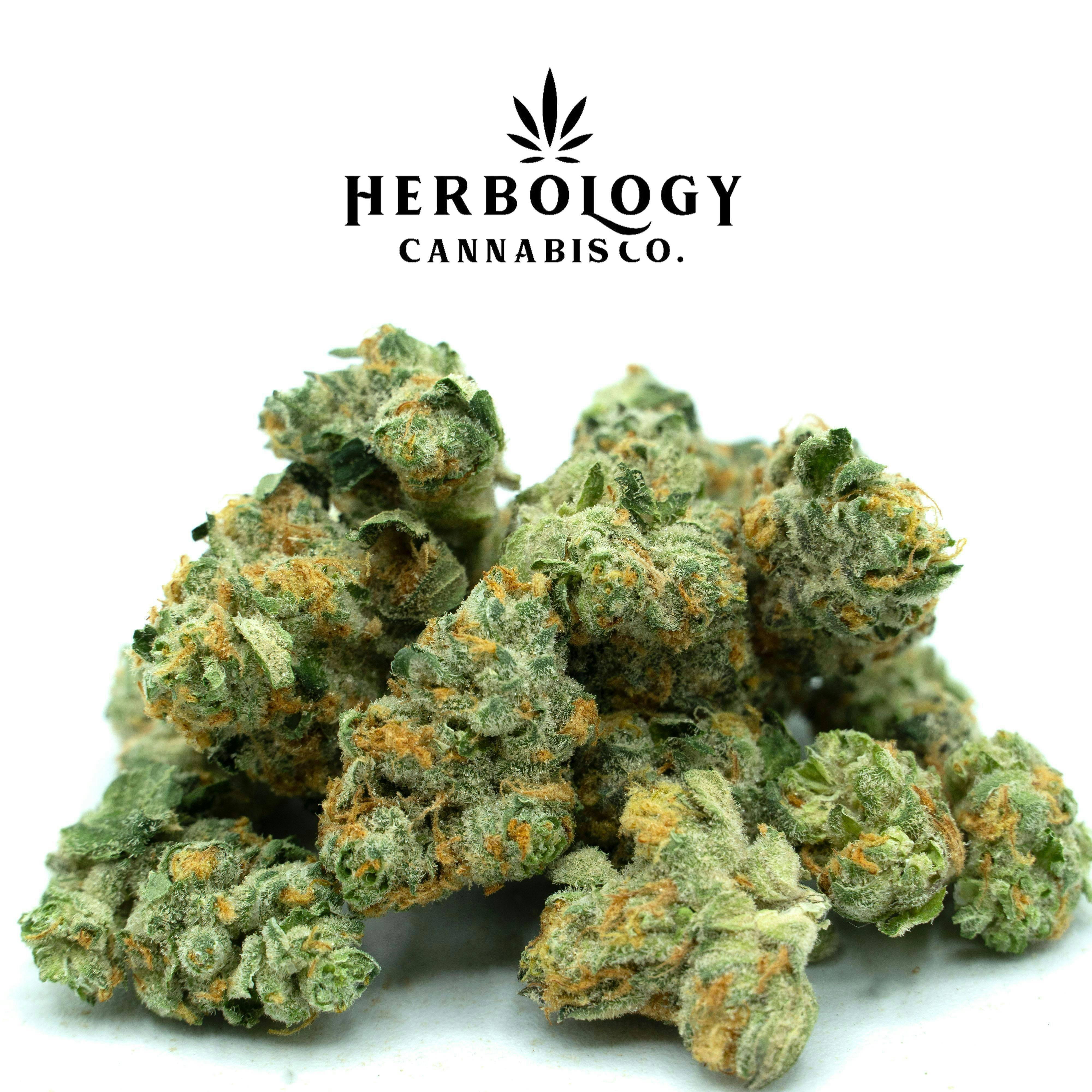 Glorious Cannabis Company | Strawberry Letter 23 | Smalls | 28g by Glorious Cannabis Company