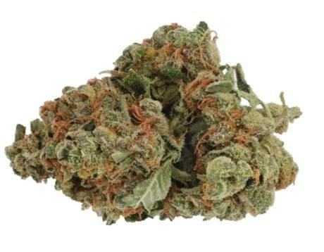 Back Forty | Animal Mints | Flower | 28g