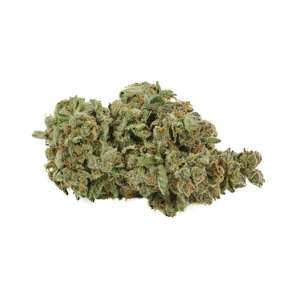 Back Forty | Apple Fritter | Flower | 28g