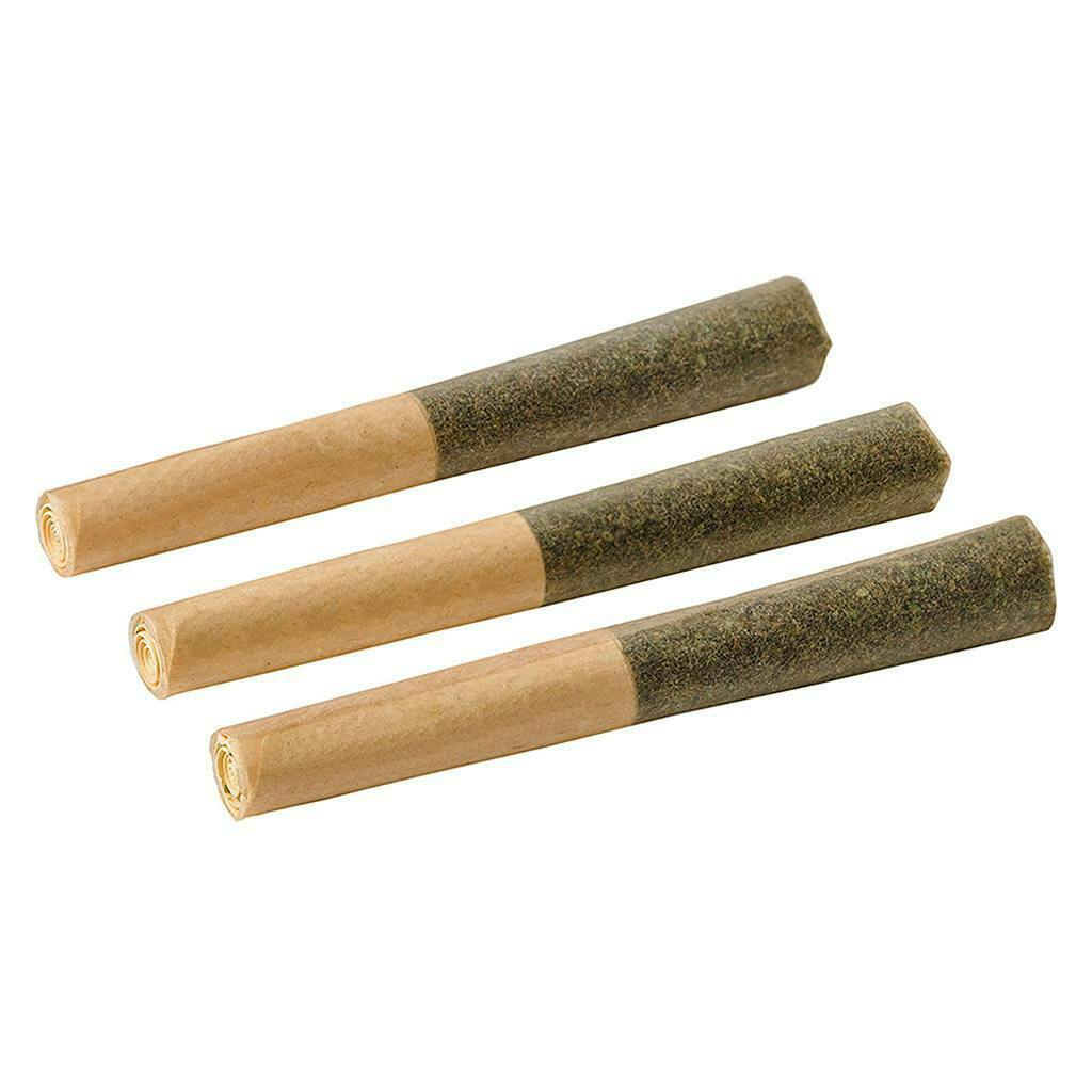 Back Forty | Blackberry Vanilla | Infused Minis | 0.5g each | 3pk