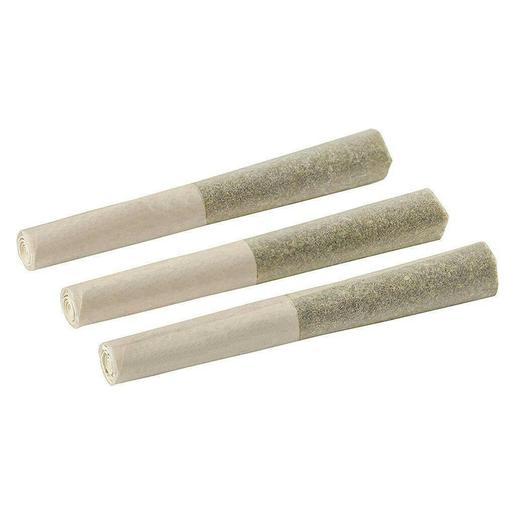 Back Forty | Blue Raspberry Ice | Infused Minis | 0.5g each | 3pk