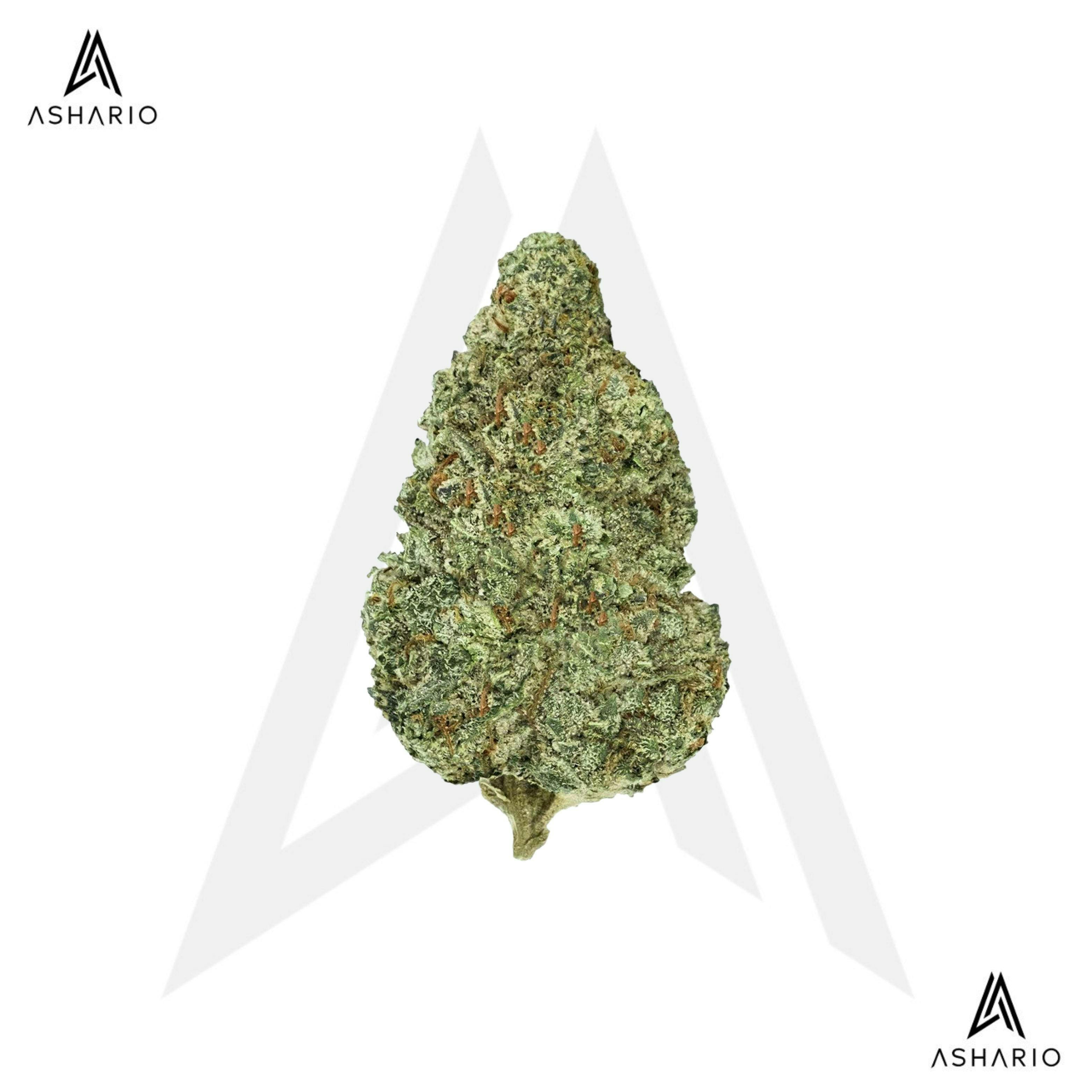 Back Forty | Chemzilla | Flower | 7g
