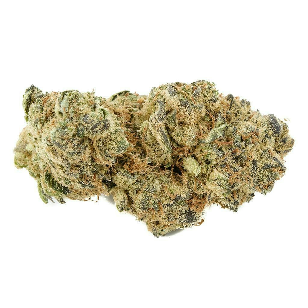 Back Forty | Fruity Pebblez OG | Flower | 28g