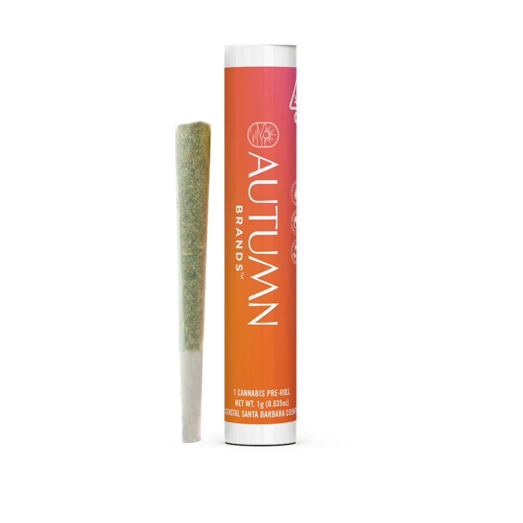 Autumn Brands | Smackers | Joint | 1g