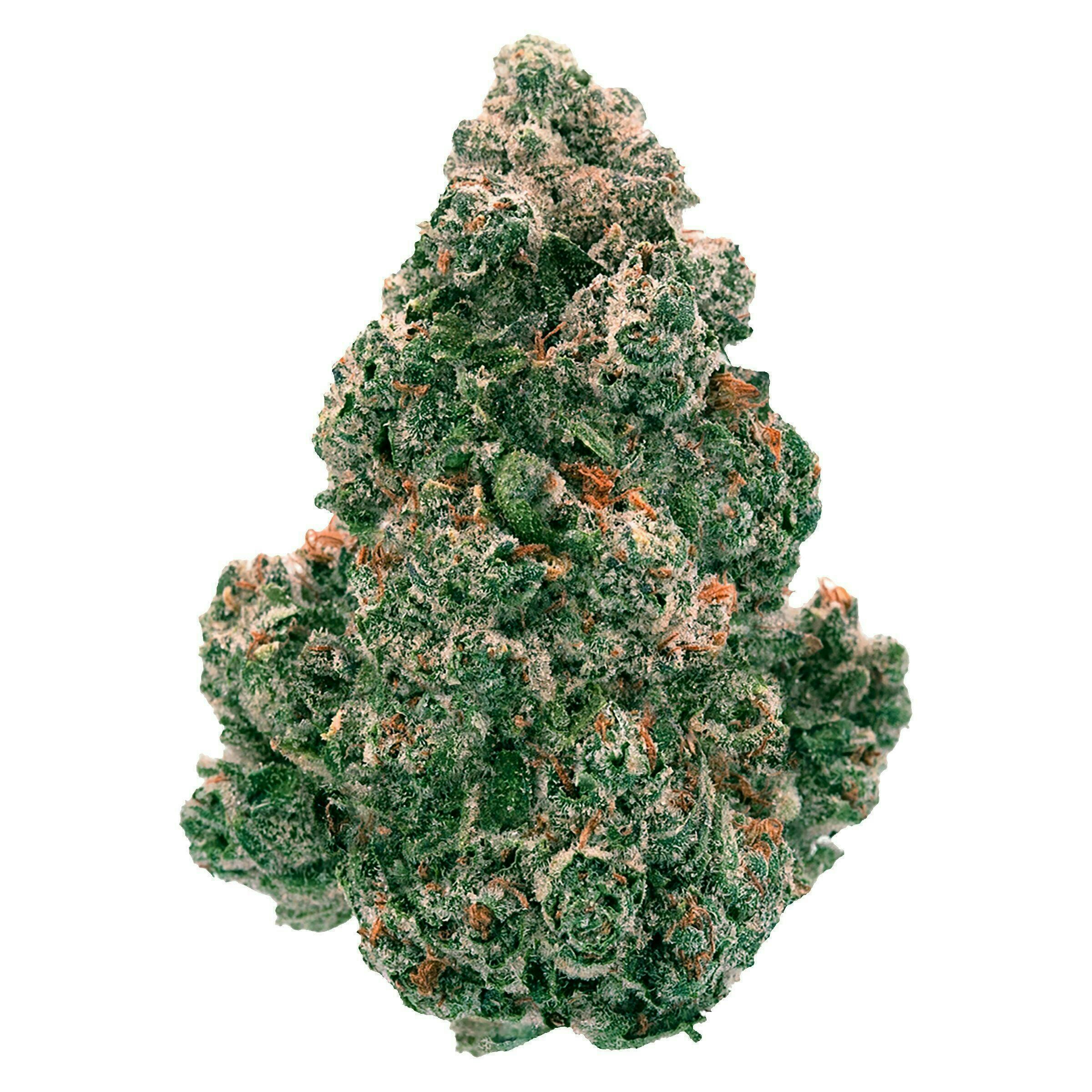 Back Forty | Liquid Imagination | Flower | 14g