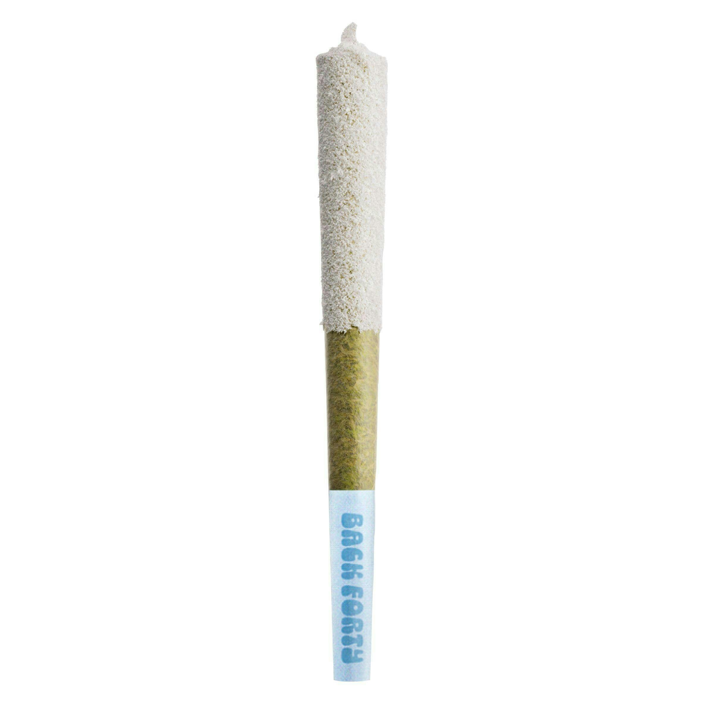 Back Forty | White Freeze | Infused Minis | 0.5g each | 5pk