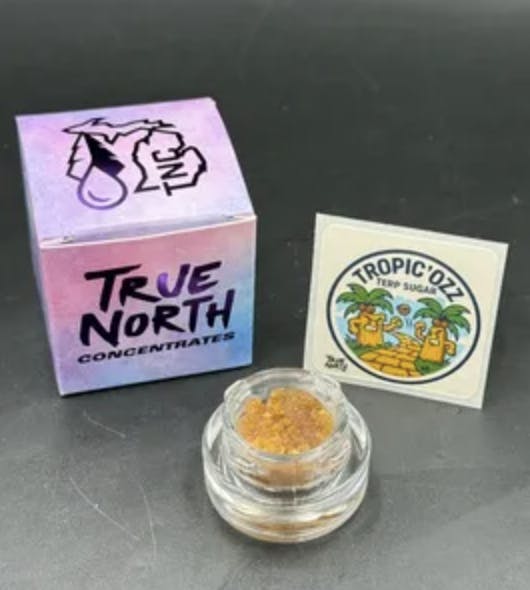 True North Collective | Tropic'Ozz | Nug Run Terp Sugar | 1g by True North Collective MI