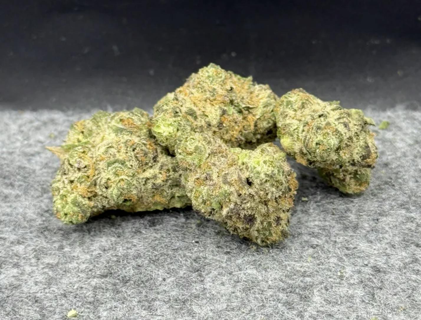 True North Collective | Satsuma Sherb #5 | Smalls by True North Collective MI