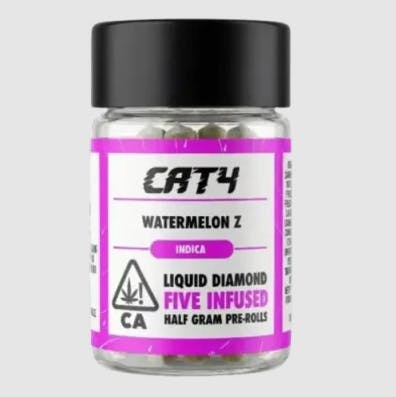 CATALYST: Cat4 - Watermelon Z
