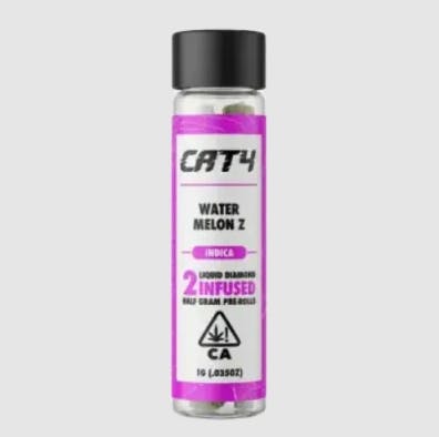 CATALYST: Cat4 - Watermelon Z