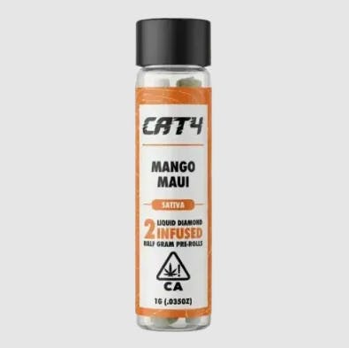 CATALYST: Cat4 - Mango Maui