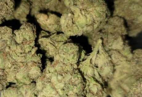 Pure Exotics | Za Fruit | Big Buds | 3.5g by Pure Exotics