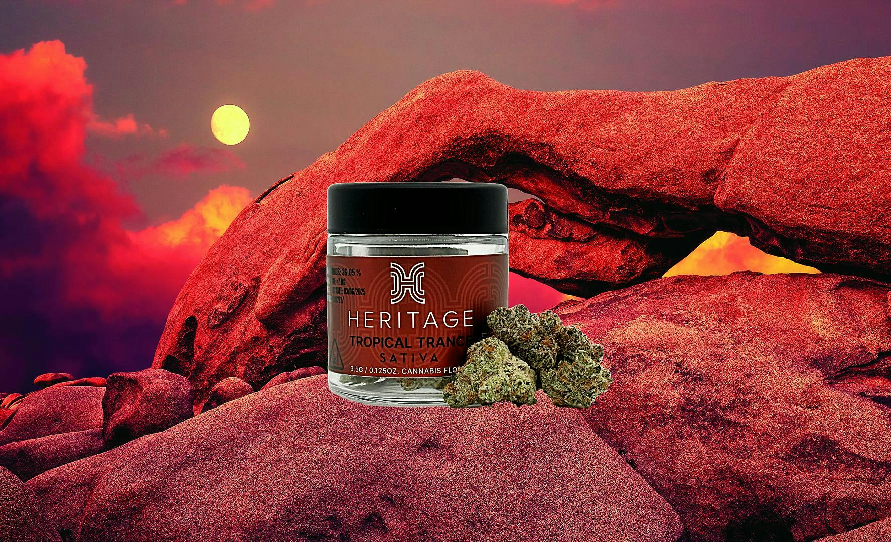 Heritage: Pineapple Breeze