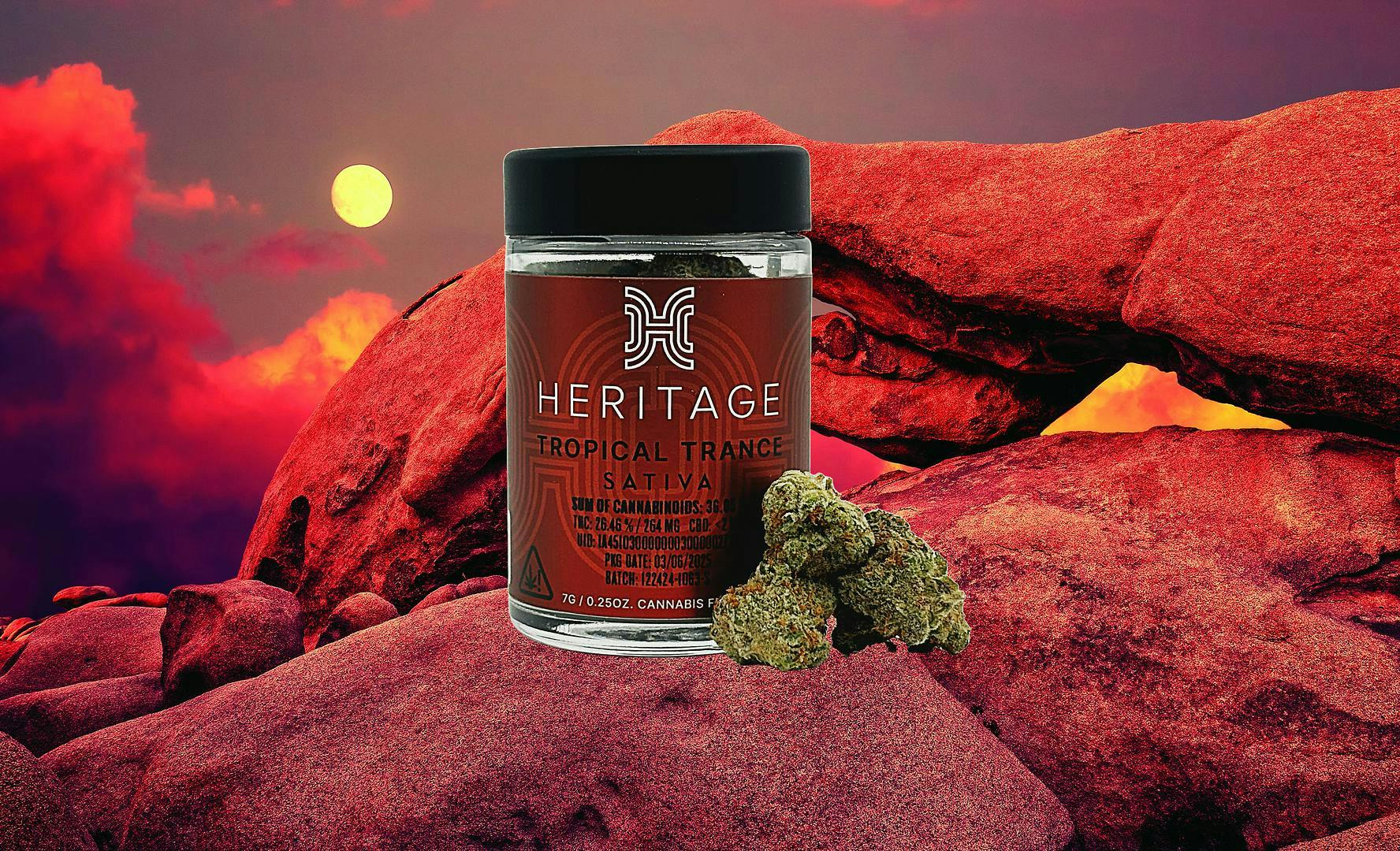 Heritage: Pineapple Breeze