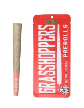Grasshoppers: Red Yellow Green