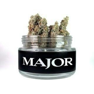 Major | 41st Side | Flower | 3.5g by Major