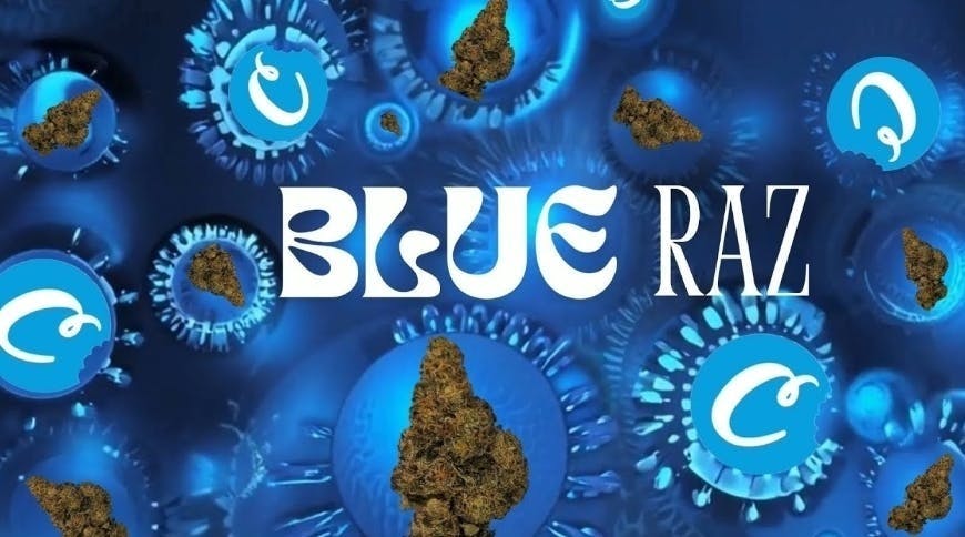 Cookies: Blue Razz
