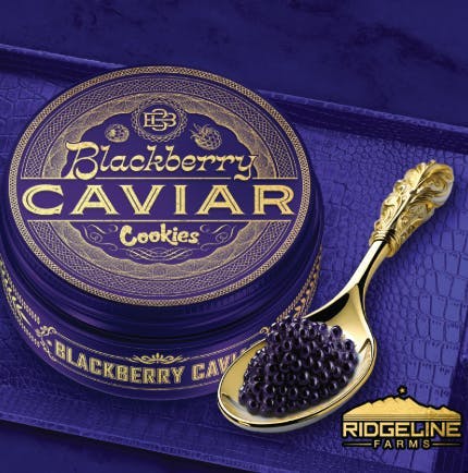 Cookies — Blackberry Caviar