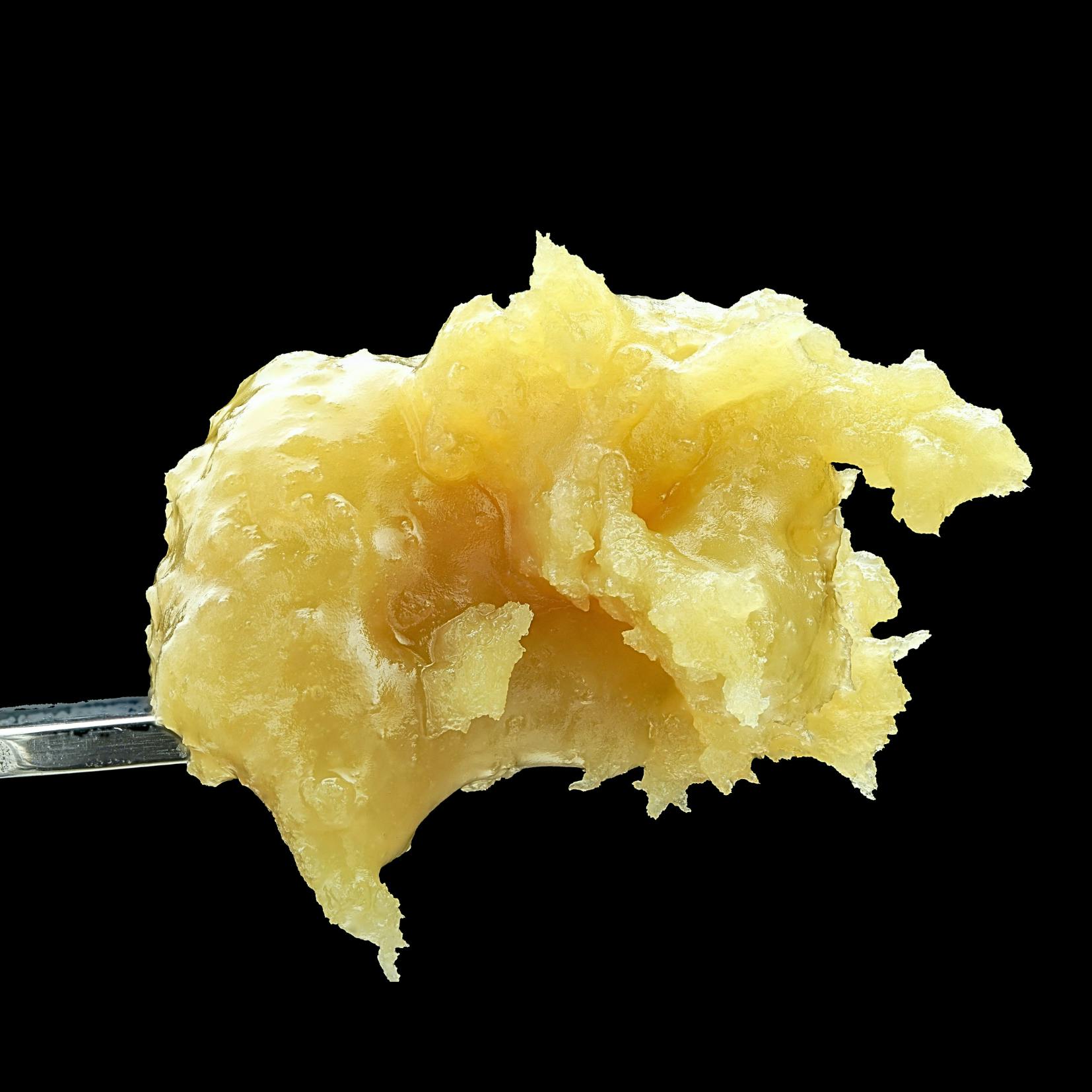 Wojo Co | Tangerine Limousine | Live Rosin | 1g by Wojo Co
