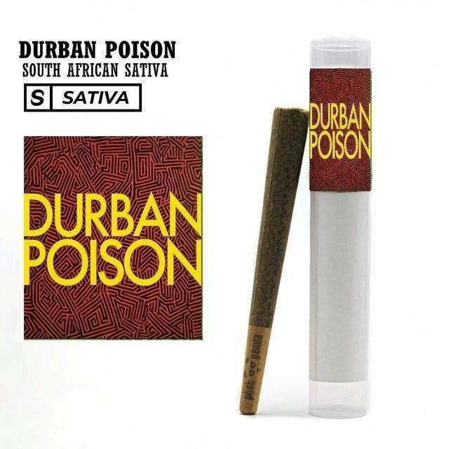 Durban Poison | Joint | 1g