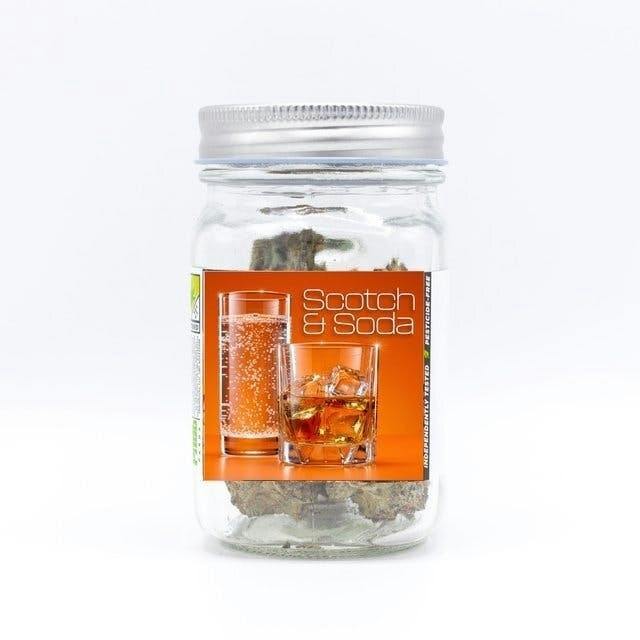 Scotch & Soda | Big Buds | 3.5g