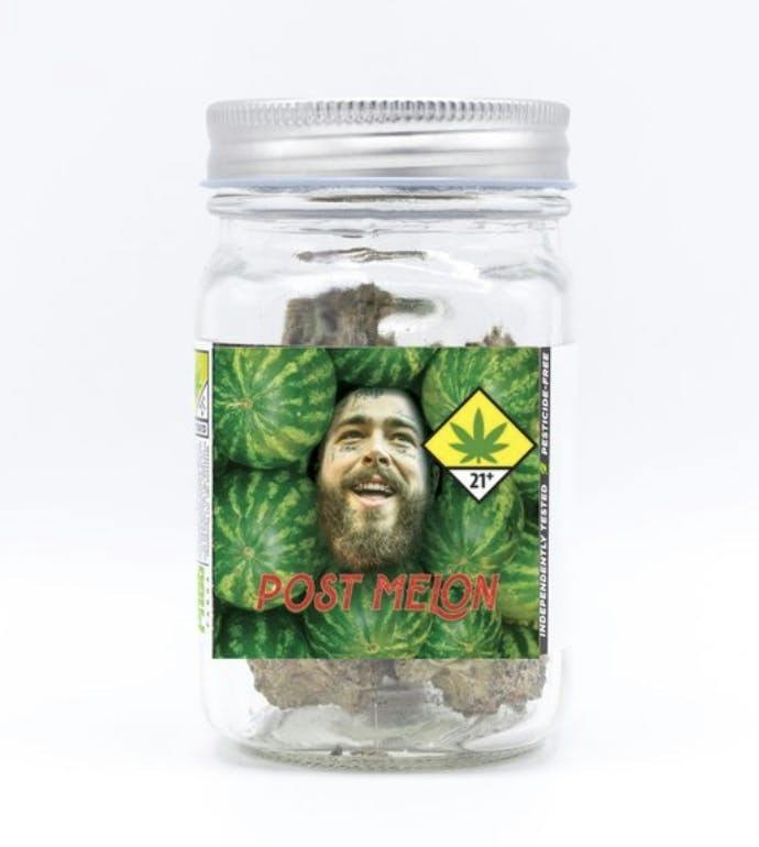 Platinum | Post Melon | Big Buds | 7g