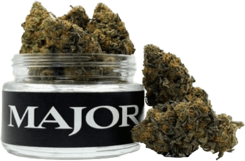 Major | Neptune Haze | Flower | 3.5g