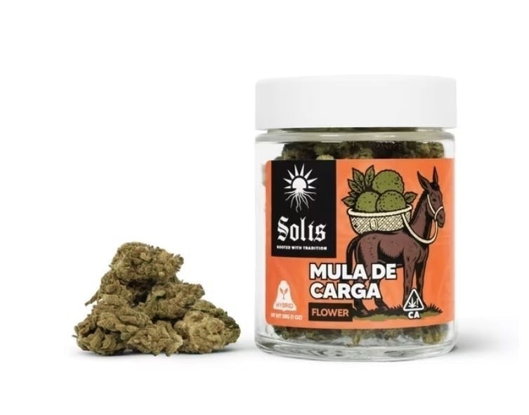 Solis: Mula De Carga