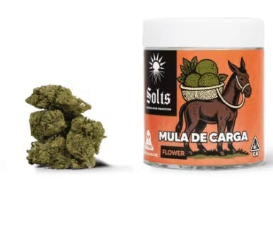 Solis: Mula De Carga