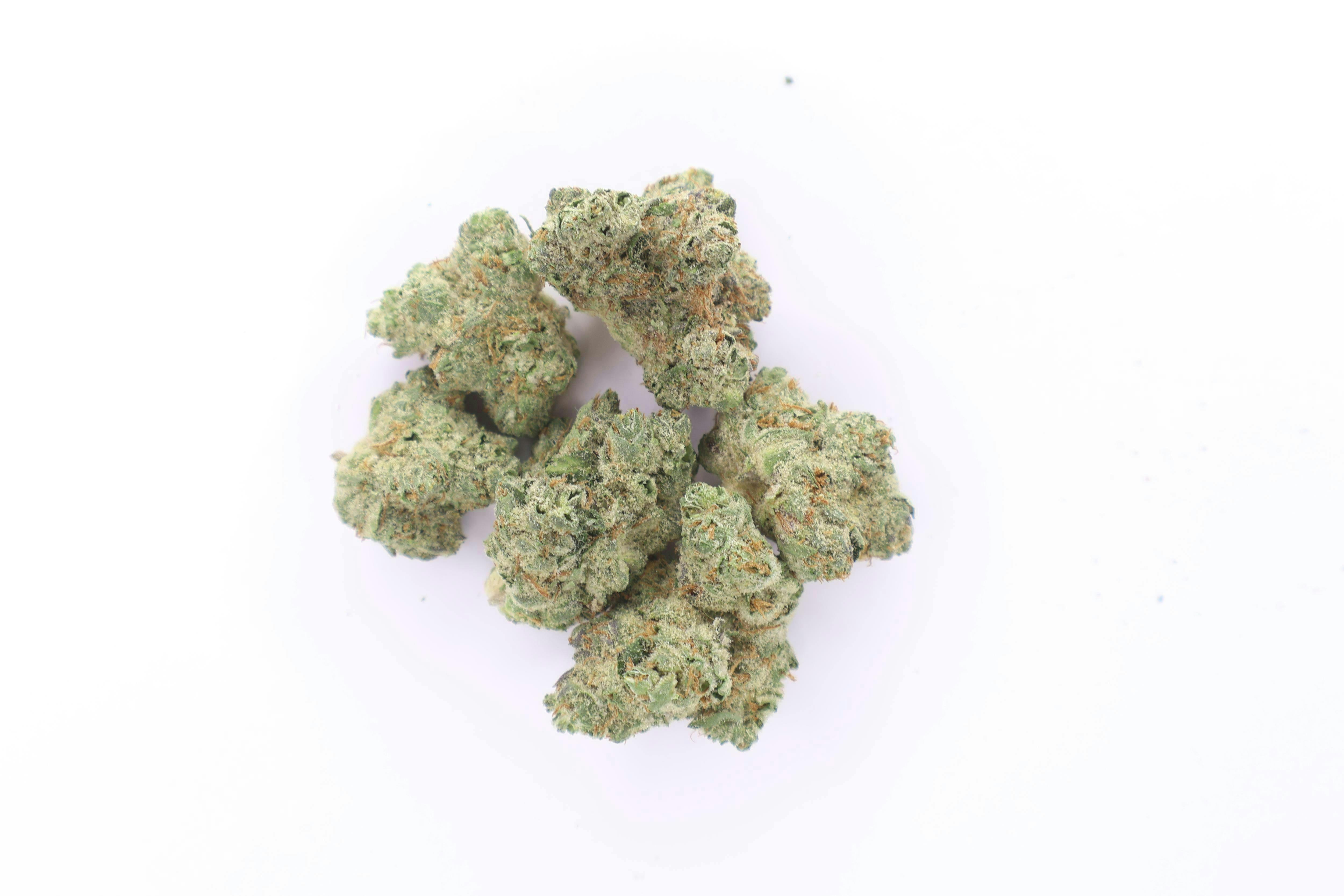 Common Citizen | Shotti | Big Buds | 1g