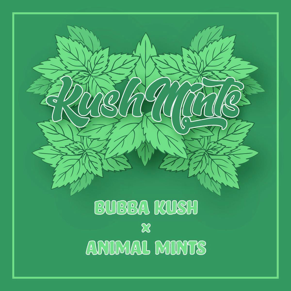 Kush Mints - Disposable Live Rosin Cart - 0.5g by Okie TSGP