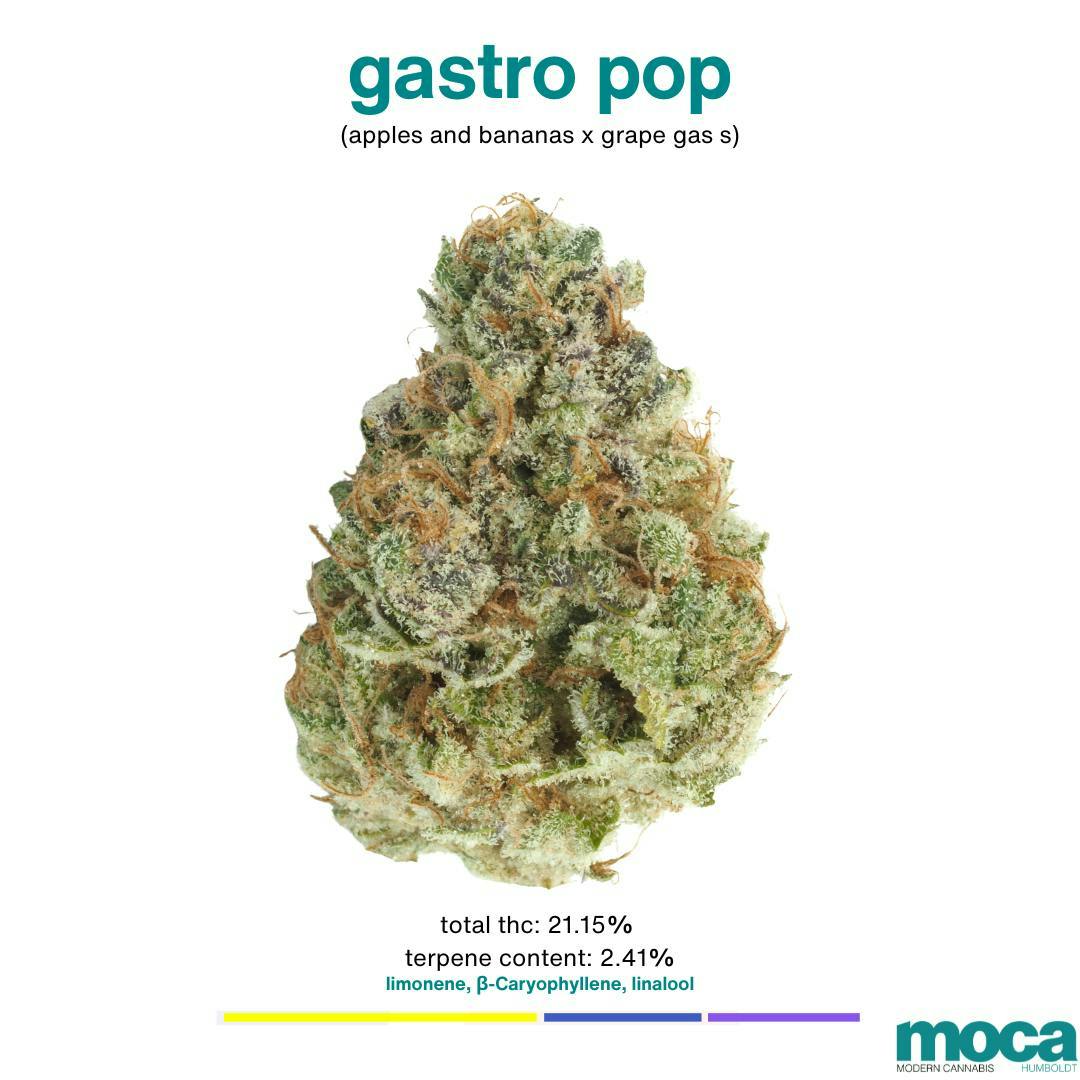 MOCA Humboldt | Modern Cannabis Menu, Reviews, Deals - Weed