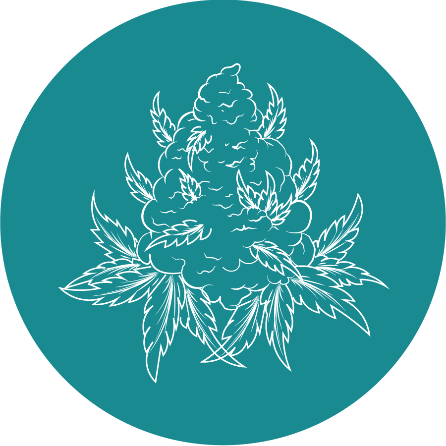 MOCA Humboldt: Cristalino - Big Buds - 3.5g