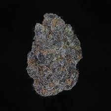 Sour Apple Gelato | Big Buds by Pro Gro