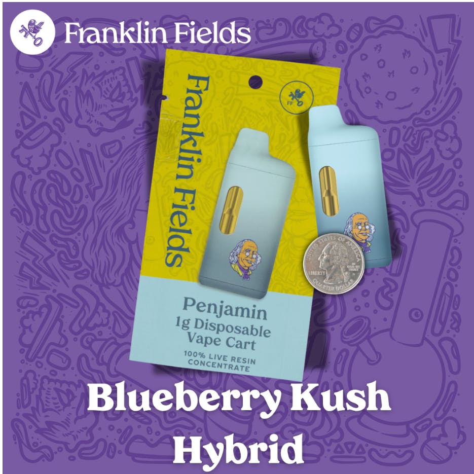 FF LIVE RESIN VAPE CART HYBRID BLUEBERRY KUSH 1G by Franklin Fields