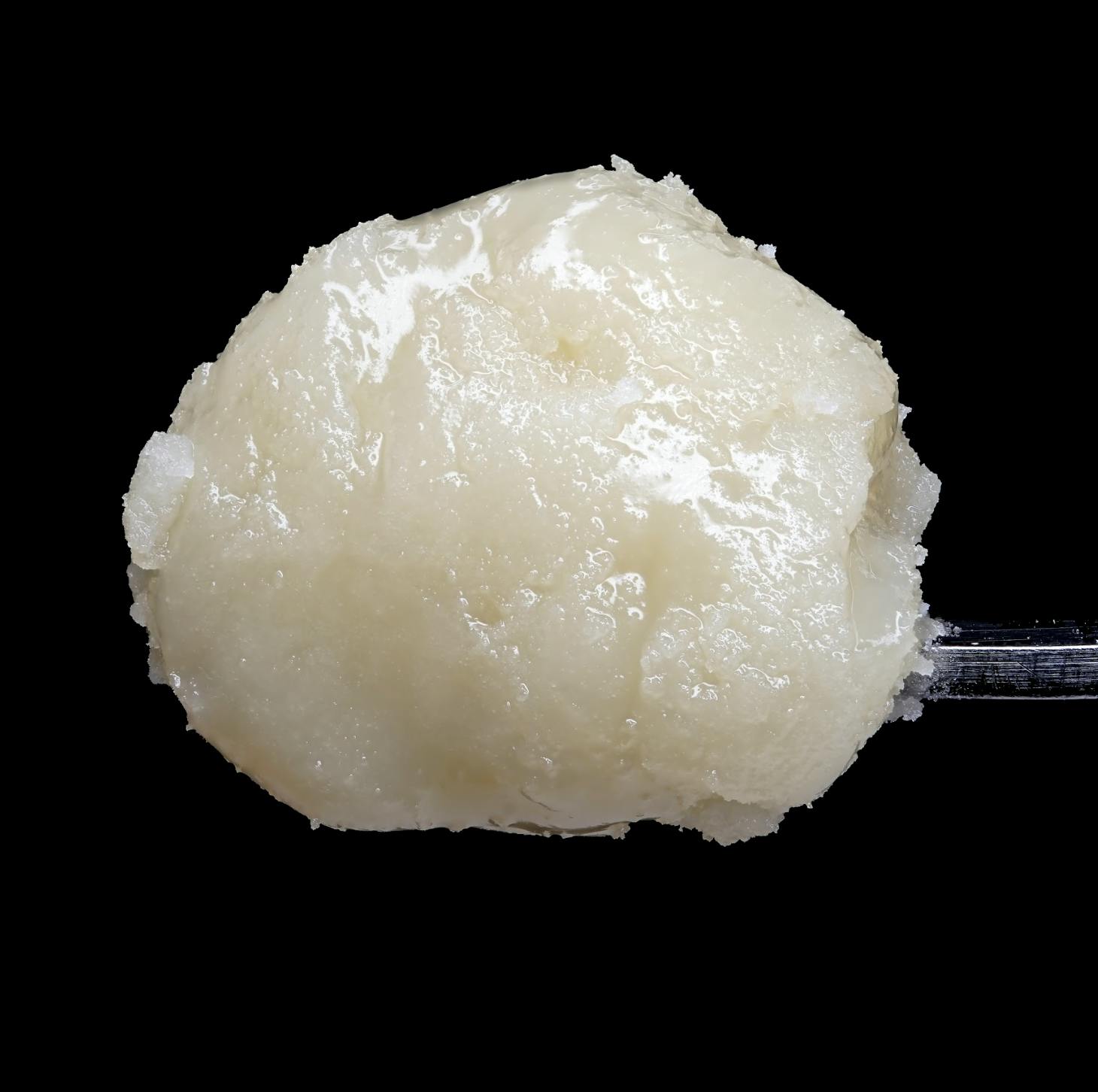 Wojo Co | Mint Orbit | Live Rosin - 1g