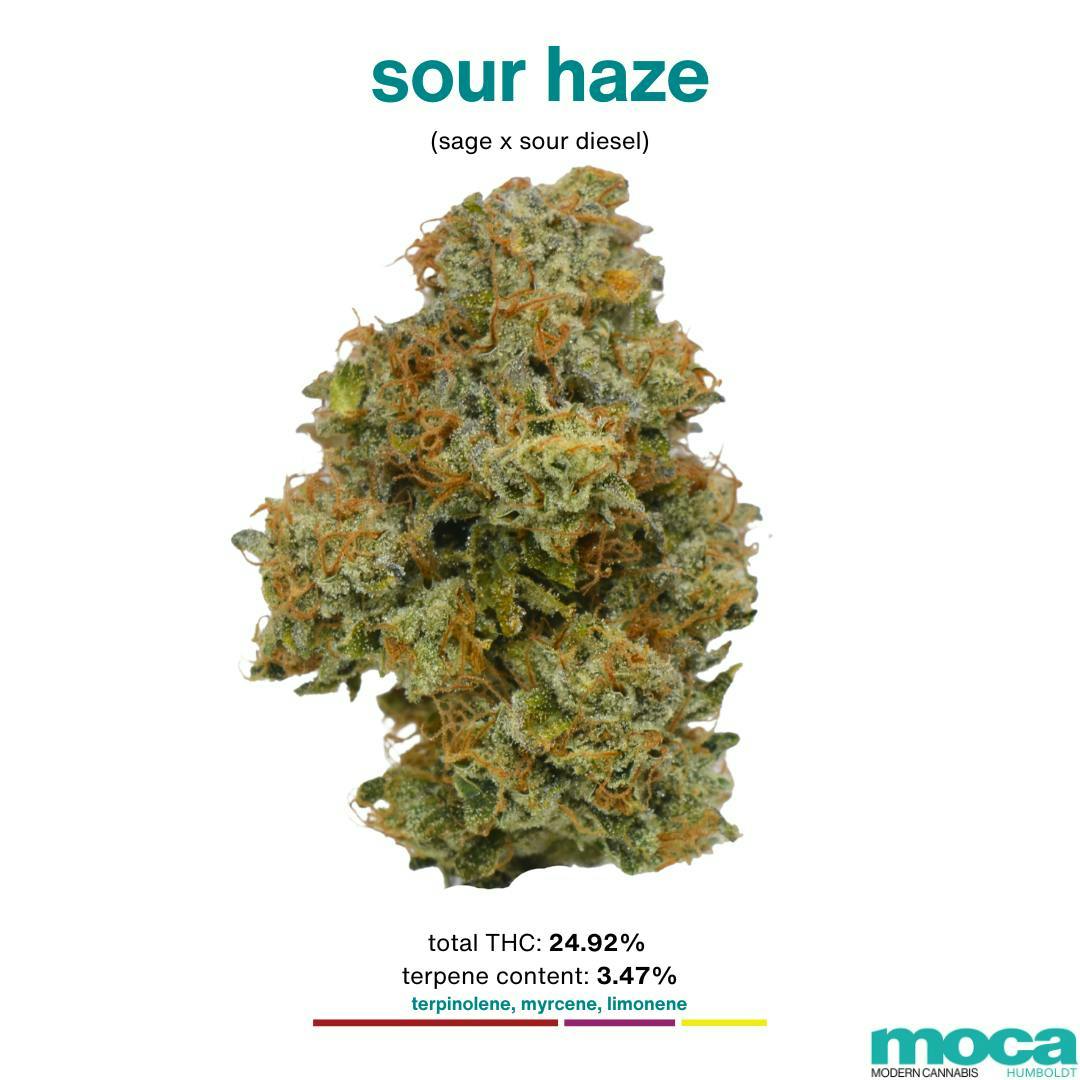 MOCA Humboldt: Sour Haze