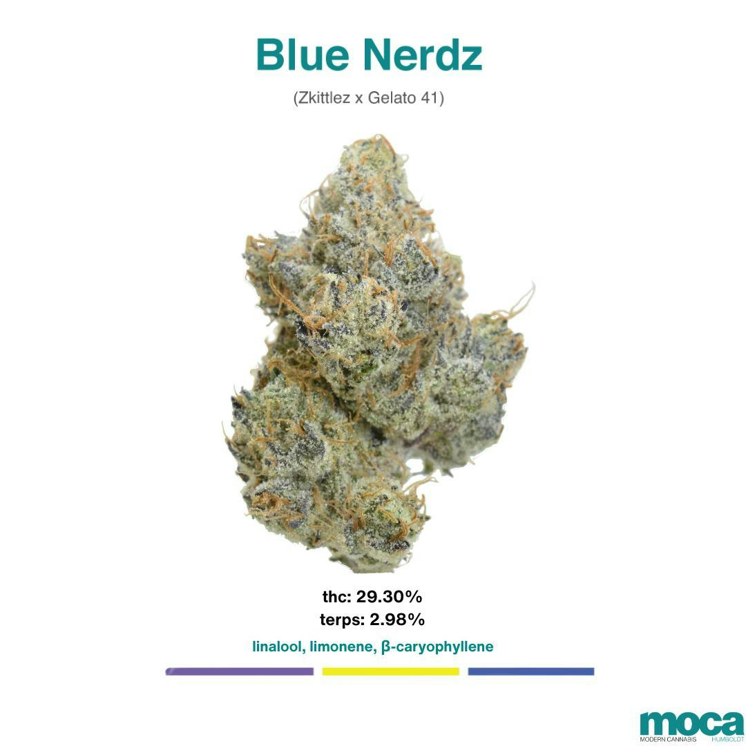 MOCA Humboldt: Blue Nerds