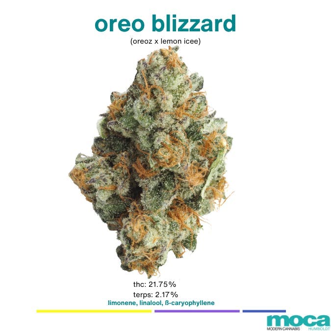 MOCA Humboldt: Oreo Blizzy