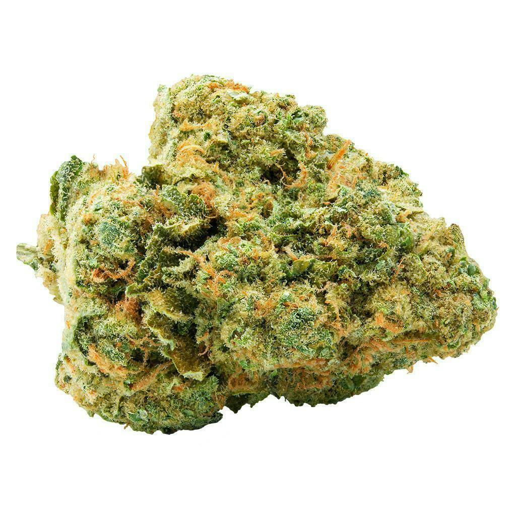 Spinach | Kiwi Lime Punch | Flower | 3.5g