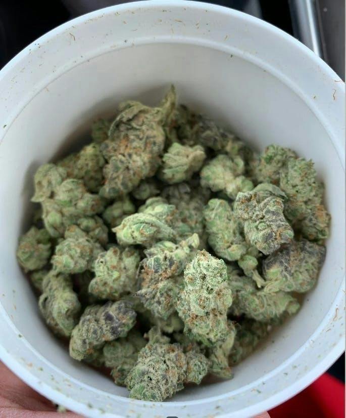 Jester | Popcorn | 14g