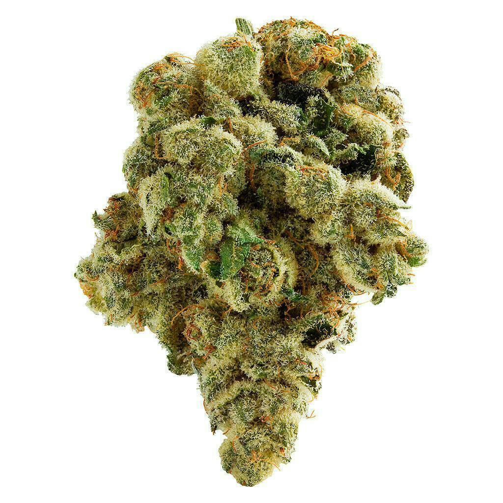 Spinach | Peach Gelato | Flower | 3.5g
