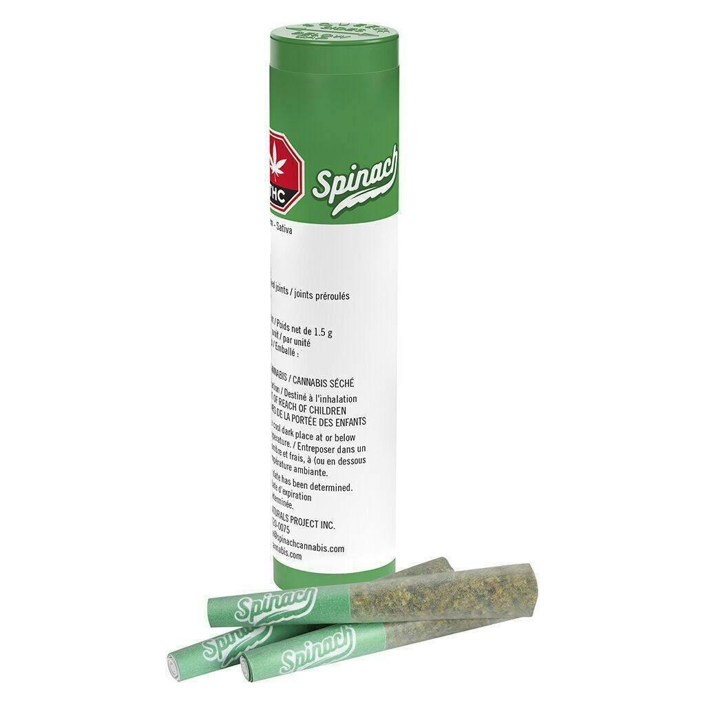 Spinach | Sour Chem | Minis | 0.5g each | 3pk