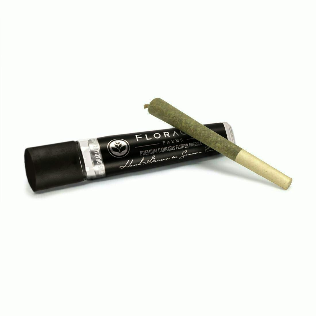 Lemon Tree Haze | Joint | 1.0g