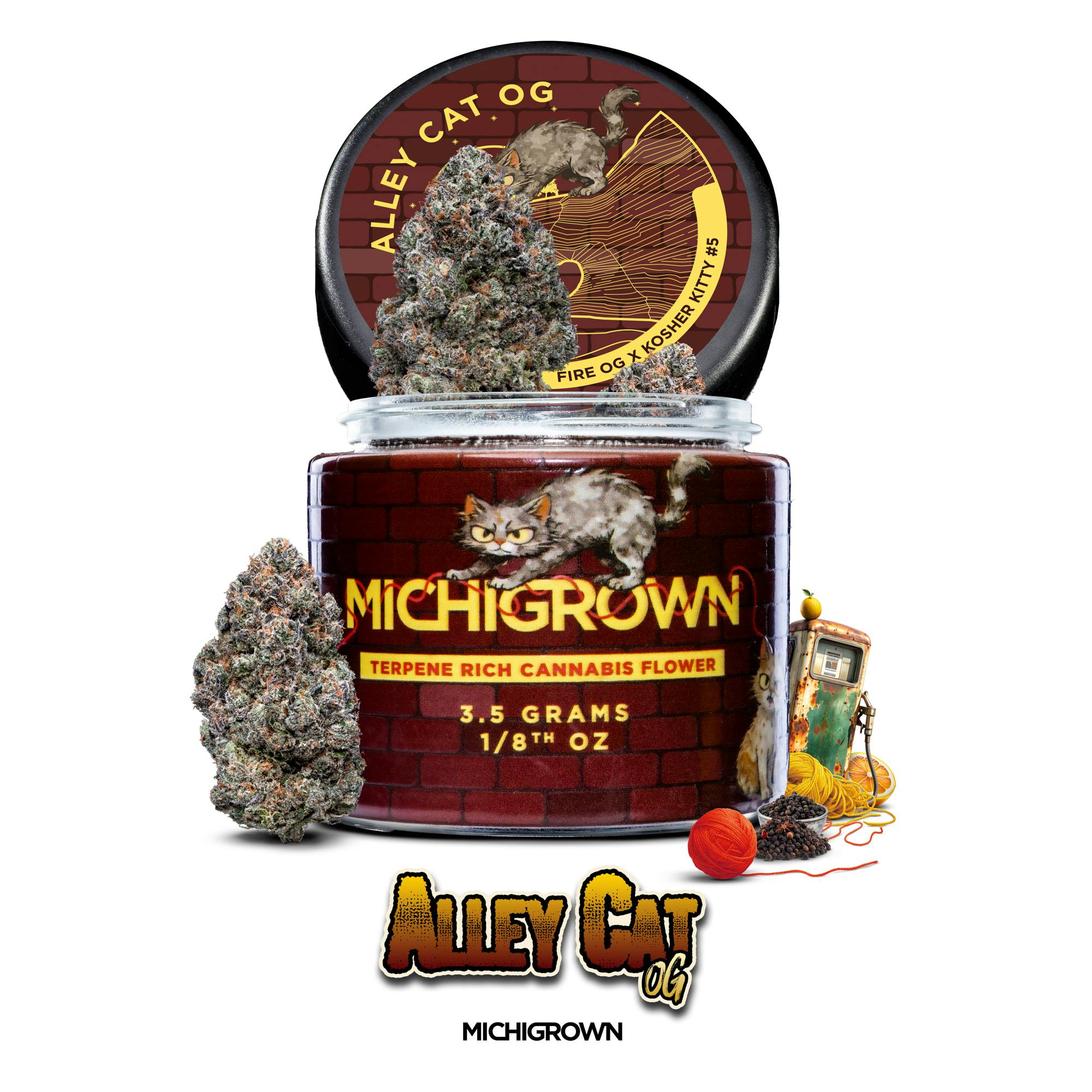 Alley Cat OG - 3.5 GRAMS - PREMIUM FLOWER - JARS by MICHIGROWN
