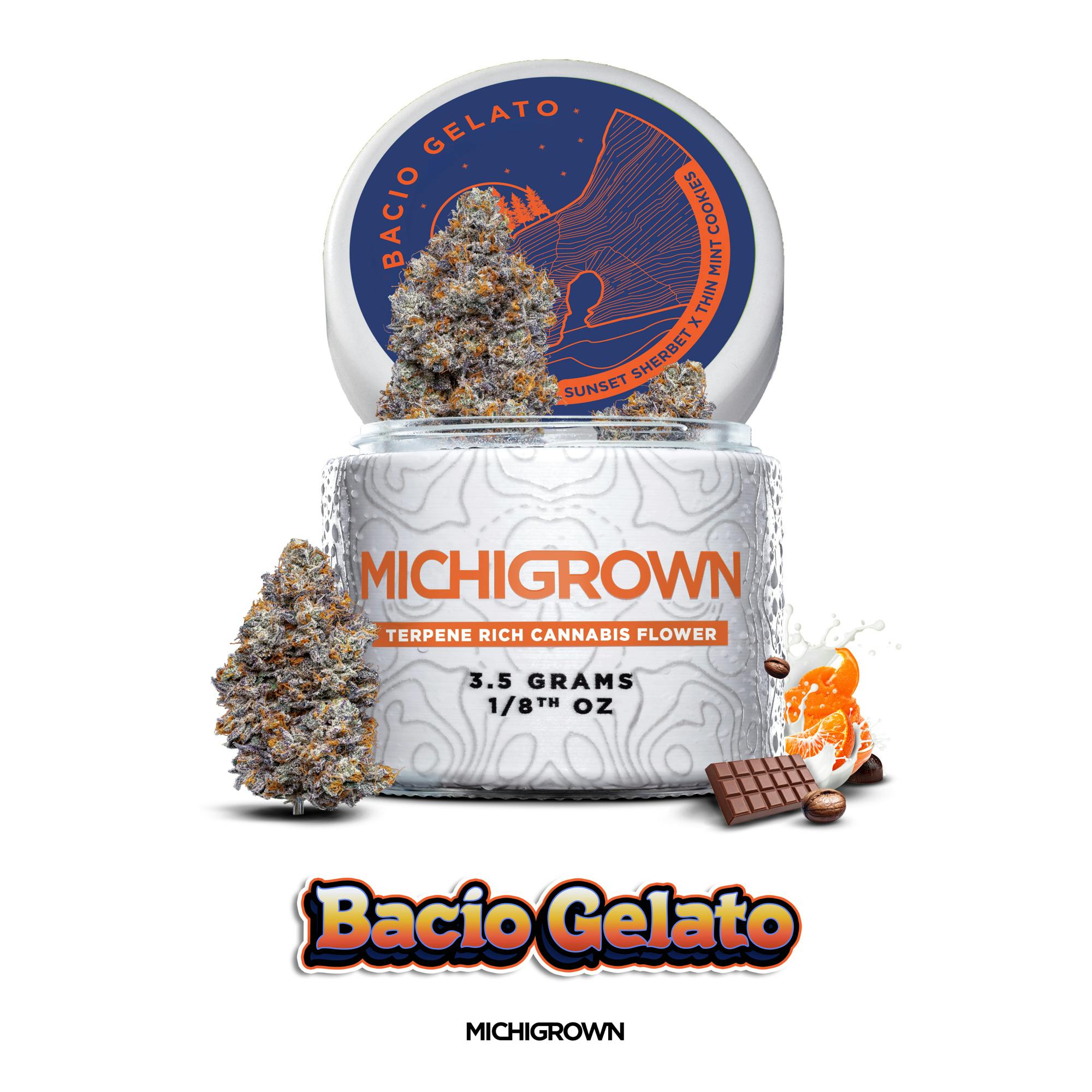 BACIO GELATO - 3.5 GRAMS - PREMIUM FLOWER - JARS by MICHIGROWN