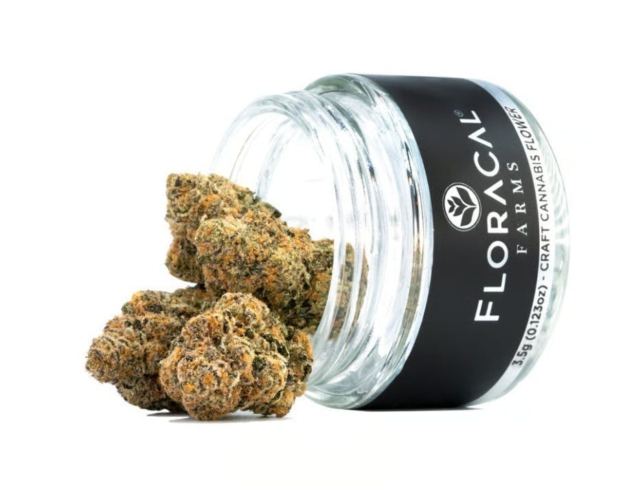 FloraCal Farms | Purple Plague | Bigs Flower | 3.5g by FloraCal Farms