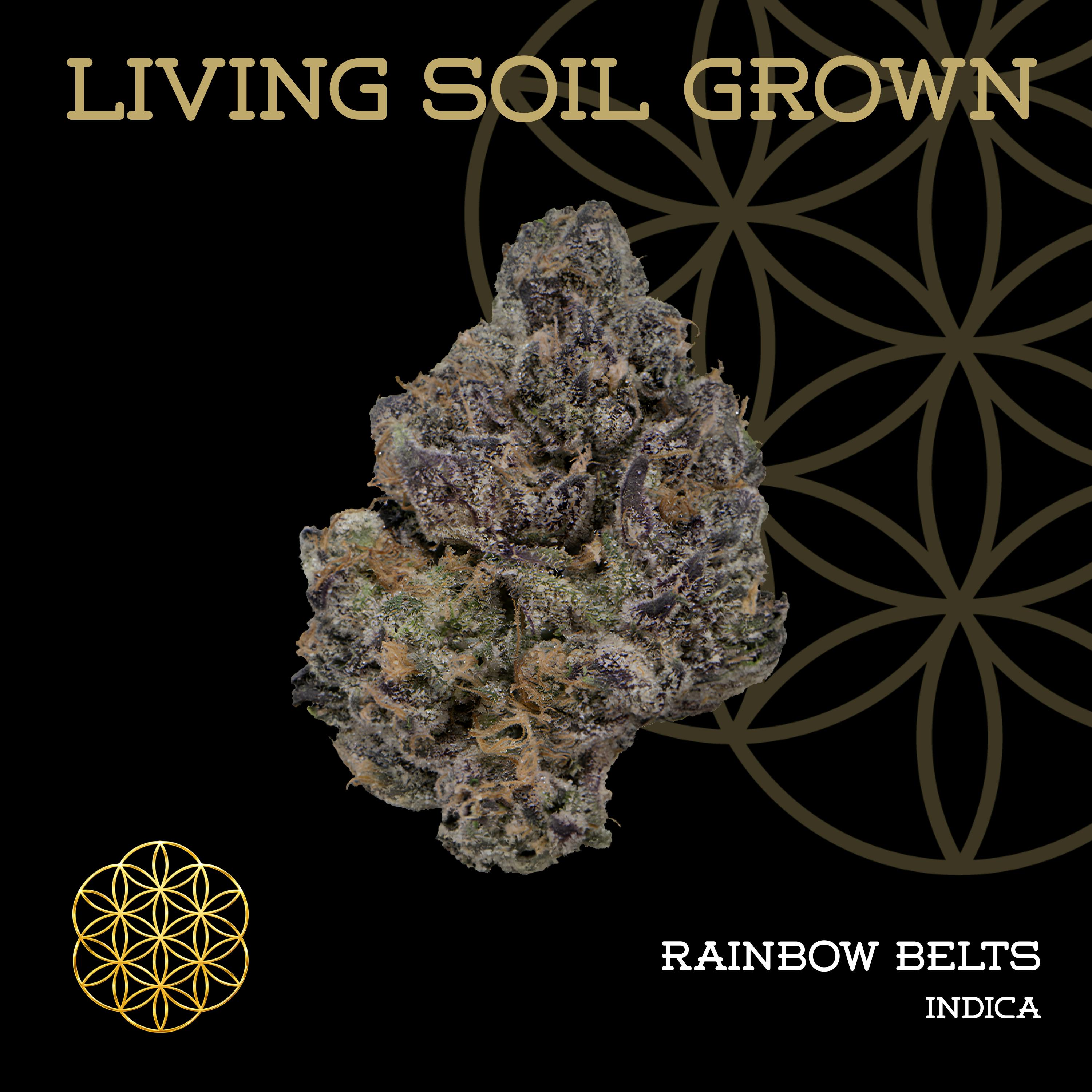 Rainbow Beltz | Bulk Deli | Living Soil by Flower of Life